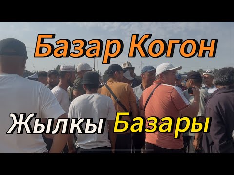 Видео: Базар Коргон жылкы базары 27 июля 2025 г.