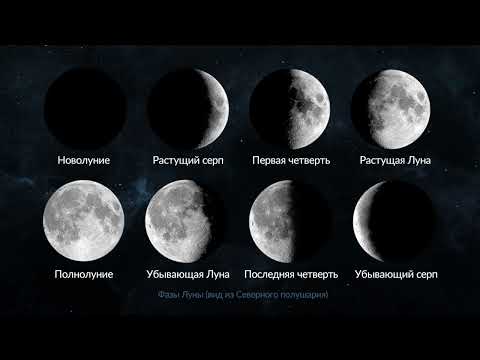 Видео: ДВИЖЕНИЕ ЛУНЫ