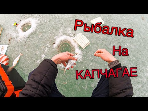 Видео: ЗИМНИЯ РЫБАЛКА НА КАПЧАГАЕ , РЫБАЛКА НА ВОБЛУ ПЕРВЫЙ ЛЁД