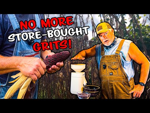 Видео: Как приготовить кукурузную крупу с нуля