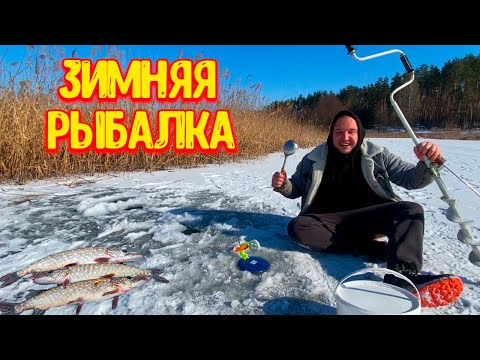 Видео: ЗИМНЯЯ РЫБАЛКА на ЖЕРЛИЦЫ / НАКОНЕЦ-ТО ХОРОШИЙ ЛЕД!