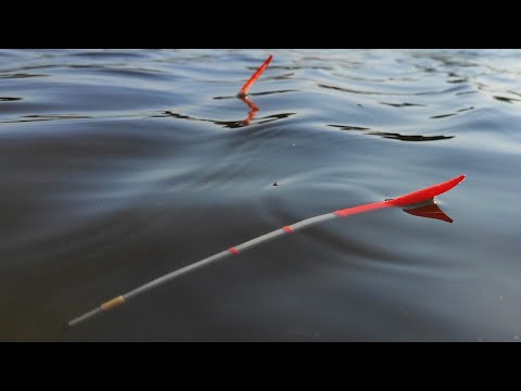 Видео: УТРЕННИЙ ЖОР - РЫБА РВЕТ ПОВОДКИ, рыбалка на поплавок