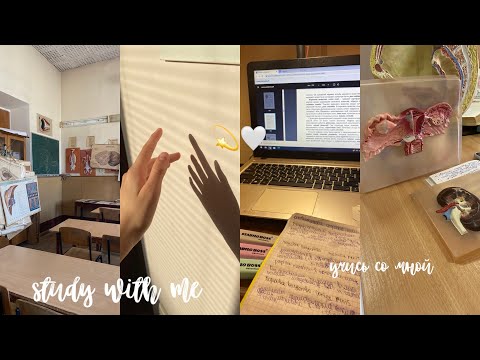 Видео: Study with me\\мотивация 🕊