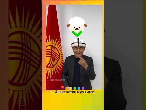 Видео: 7 ноября 2025 г.