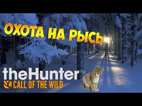 Видео: theHunter Call of the Wild #21 - Охота на рысь | Patch 1.18