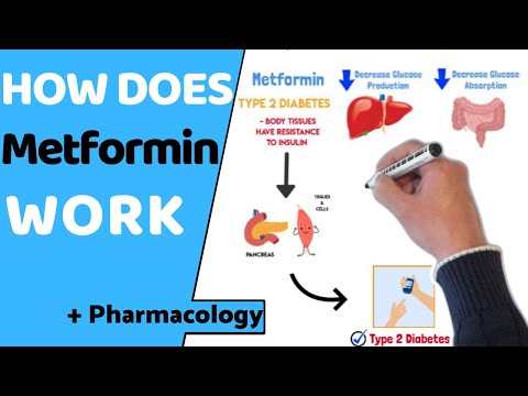 Видео: Как действует метформин? (EASY Pharmacology)