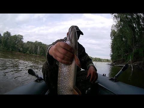 Видео: Хищник на "макалку" в июле! Рыбалка на Оби.