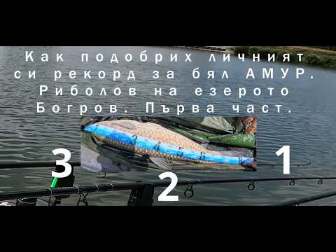 Видео: Как подобрих личният си рекорд за АМУР.Риболов на езерото Богров Част 1 Personal best for grass CARP