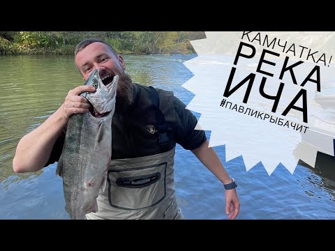 Видео: Камчатка! Река Ича. Неделя рыбалки и кайфа | Павликрыбачит