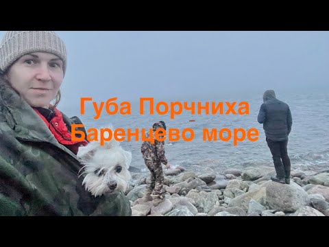Видео: Порчниха Кольский полуостров 2025