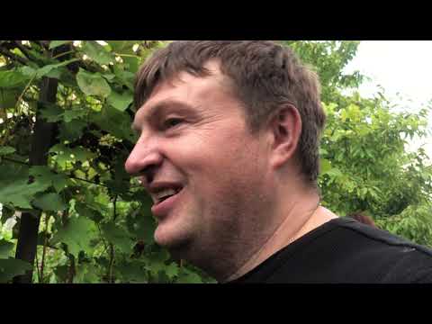 Видео: В гостях у Алексея Калугина. Ступино. Часть первая. 12.09.2020