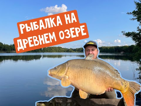 Видео: ЛОВЛЯ КАРПА НА ДРЕВНЕМ ОЗЕРЕ - КОТОРОМУ 11.5 ТЫСЯЧ ЛЕТ! Lowisko Korzecznik