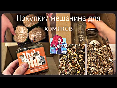 Видео: Покупки из зоомагазина/ делаем мешанину для хомяков/ чем кормить ?