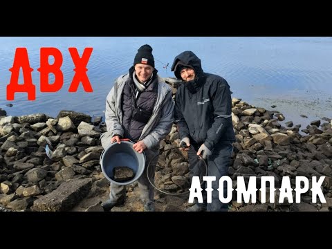 Видео: Десногорск.Атомпарк.суровая ловля.