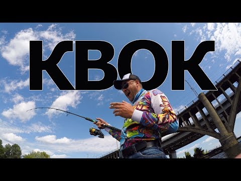 Видео: НАЧАЛО ловли СОМА на КВОК. Как начать ловить сома с квоком?
