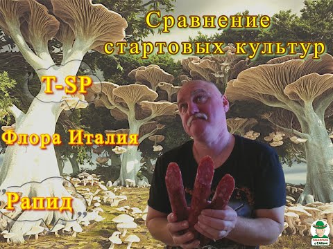 Видео: Сравнение трёх стартовых культур для сыровяления: T-SP, Флора Италия, Рапид