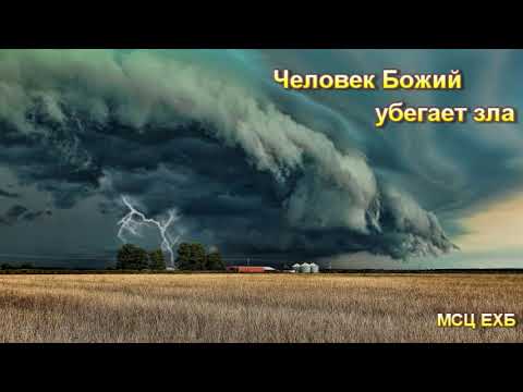 Видео: "Человек Божий убегает зла". Е. Цыганков. Проповедь. МСЦ ЕХБ.