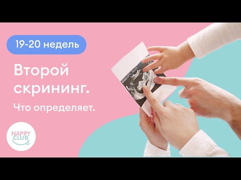 Видео: 19-20 недель. Второй скрининг. Что определяет