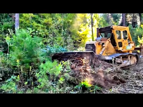 Видео: ЧАСТЬ 2 СТРОИТЕЛЬСТВО ДОРОГ Борьба между ЗАКРЫТЫМИ и ЗЕЛЕНЫМИ ЛЕСНЫМИ ДЕРЕВЬЯМИ - Тесное и узкое