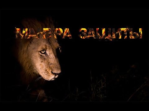 Видео: Сильная защитная мантра