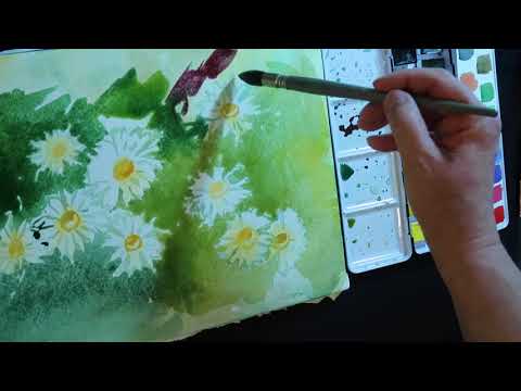 Видео: Акварель:  Ромашки