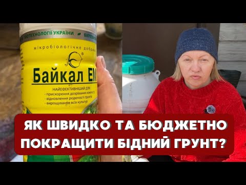Видео: Як розмножити Байкал-ЕМ вдома — простий спосіб + поради з досвіду