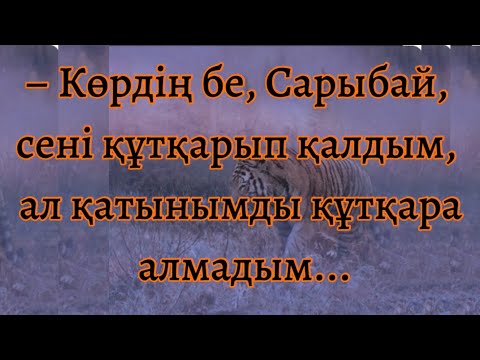 Видео: Барыс (Хикая) Серік Әбікенұлы. @seriksarybay @Khabilet