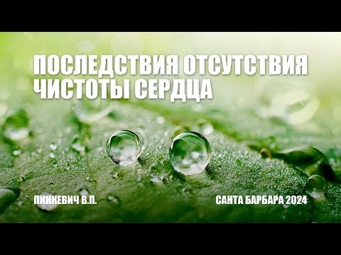 Видео: Последствия отсутствия чистоты сердца || Пинкевич В.П.