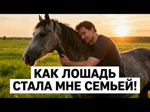 Видео: Как лошадь стала мне семьей