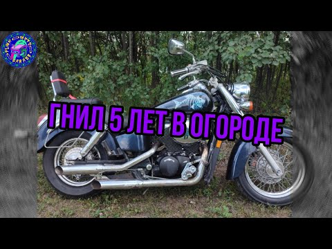 Видео: Honda Shadow из огорода с любовью.Воскрешение мертвеца