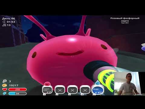 Видео: Slime Rancher #25 Собирали ресурсы, исследовали древние руины и нашли квантового гордо