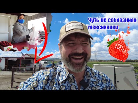 Видео: Приключения русского дальнобойщика в Калифорнии!!!🇺🇸