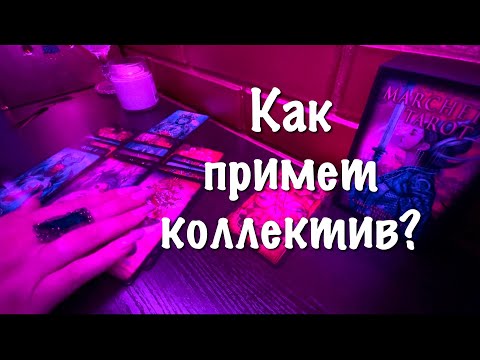 Видео: Новая работа, должность, новое место работы. Как примет коллектив?