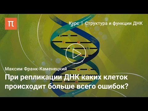 Видео: Повреждения ДНК — Максим Франк-Каменецкий