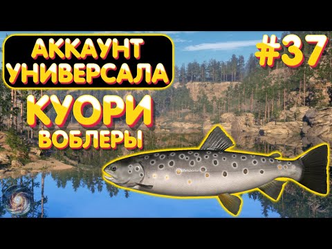 Видео: Аккаунт универсала #37 | Куори троллинг на воблеры | Русская Рыбалка 4