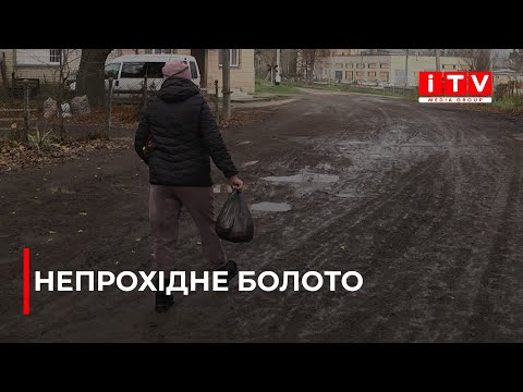 Видео: У Рівному на одній з вулиць не дорога, а болото | ITV media group