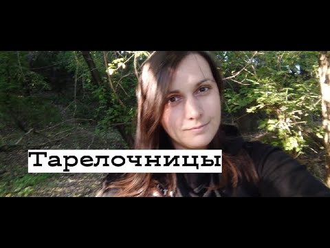 Видео: Тарелочницы.Все как есть.