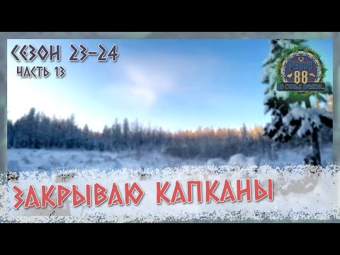 Видео: Регион 88 | Сезон 23-24. Часть 13. Погода переменчива. Закрываю капканы