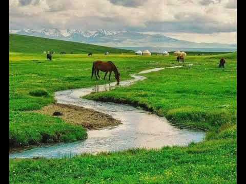 Видео: Қазақ күйлері, Kazakhs music dombra.   Kazakhstan traditional music