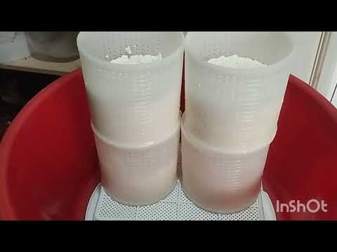 Видео: У нас не Кипр, но сыр Халуми тоже любим. Сделаем его вместе?