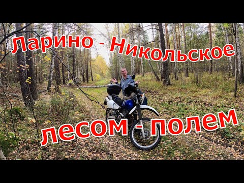 Видео: Suzuki Djebel 250. Ларино - Никольское. Лесом - полем.  29.09.2024 г.