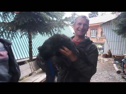 Видео: достопримечательности КЧР турбаза МАХАР