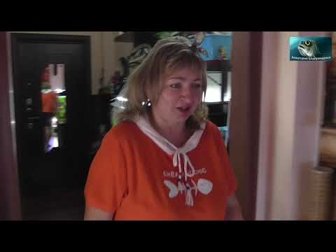 Видео: Аквариумистика в семье.  Мнение жены о хобби мужа.