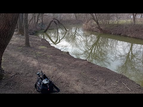 Видео: Мормышинг : прогулка с dayo Liropus, тёплым февральским  деньком.