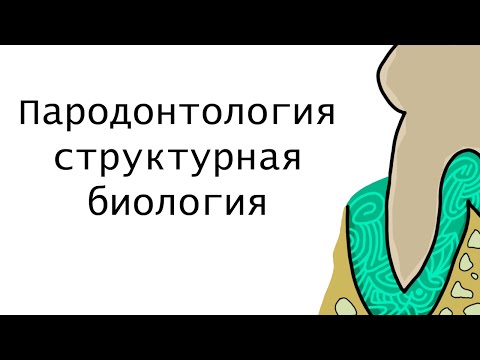Видео: Основы пародонтологии