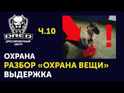 Видео: Тренировка по выдержке | Разбор упражнения "Охрана вещи" | Охрана ч.10