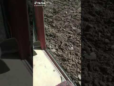 Видео: трактор т 25!!! пахота 2024!!! пашем под картошку все путем!!! чеснок Несвиж!!!