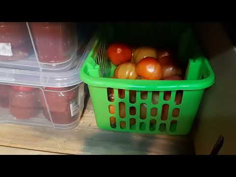 Видео: Последно обобщаващо видео с доматите от тераската и градинката! 22.09.2025