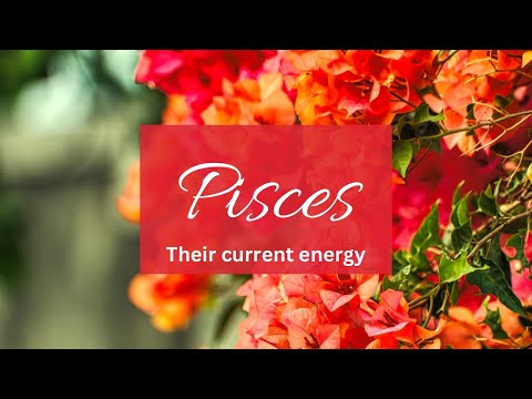 Видео: Рыбы❤️ Я жду, когда ты сделаешь шаг! Боюсь потерять тебя, но их эго верит в другое!