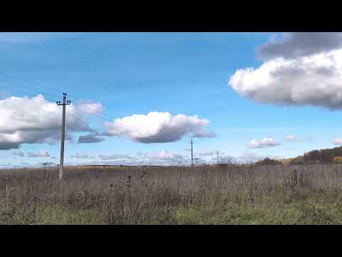 Видео: Поле. ч.2. Октябрь 2025